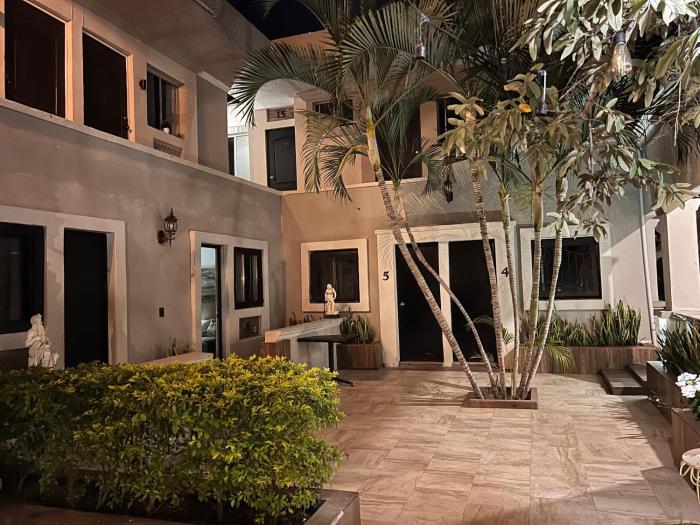 Eco-Hotel Black Tree