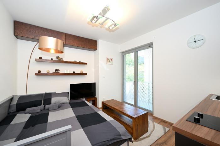 New Apartment in Heart of Prague