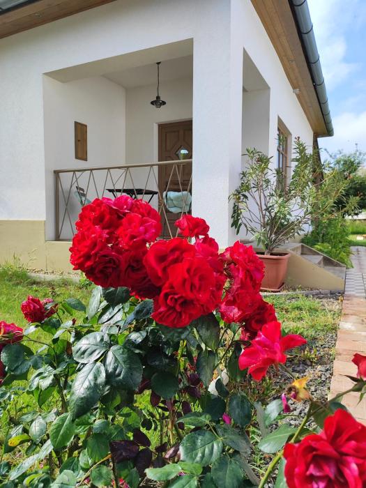 Egyszervolt Házikó