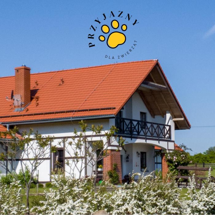 Storczykowe Wzgórze