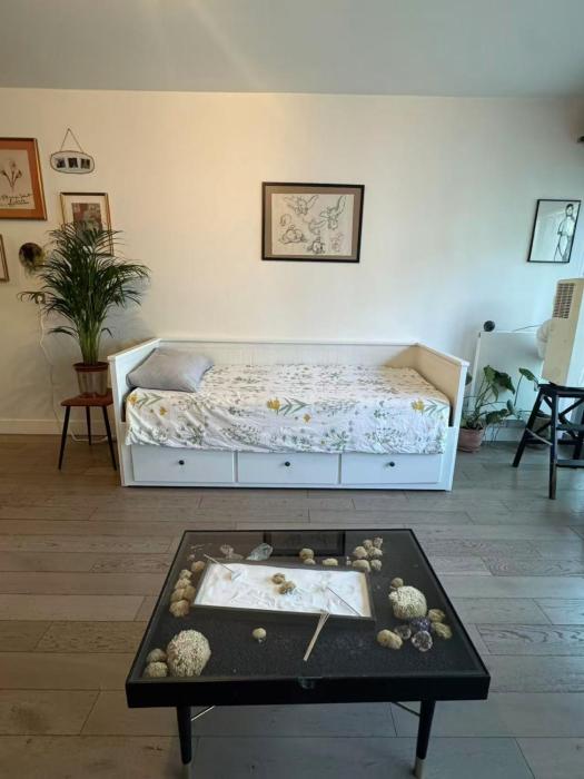 Cozy appartement well located