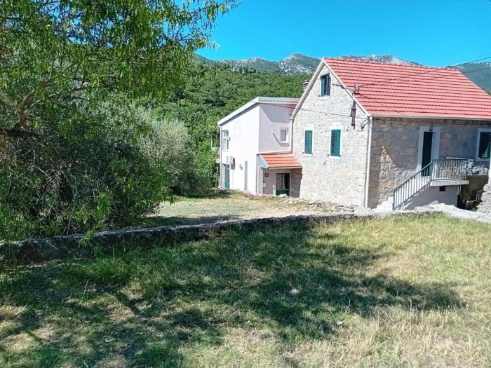 Apartment Green view