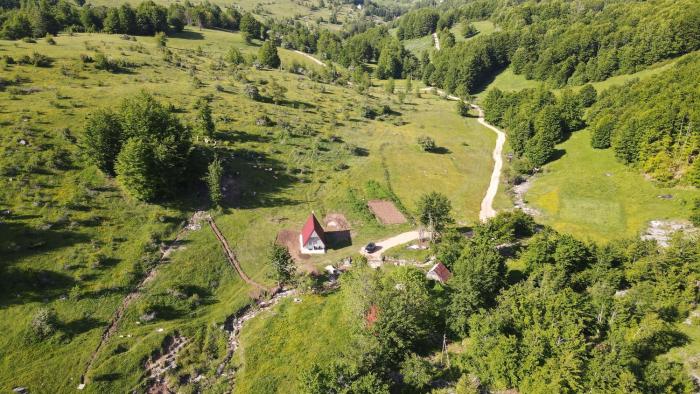 Cottage by the brook