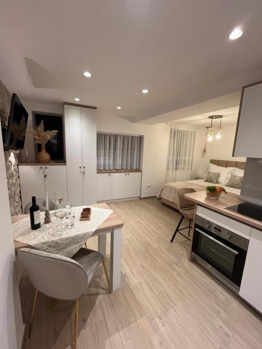 Luxury apartment Skalina & Volat