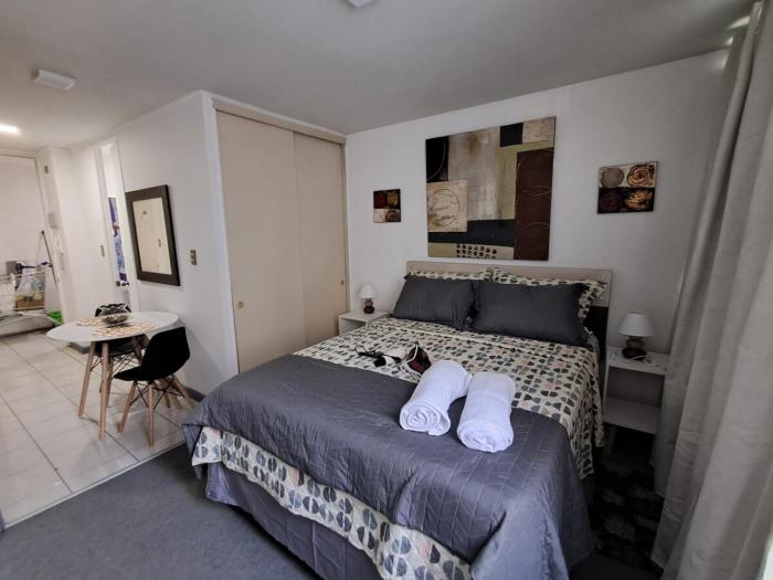 Departamento tipo estudio, cercano al Movistar Arenas y Teatro Caupolican