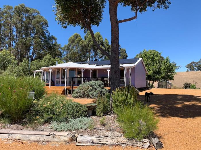Belmira Vines Private Vineyard Escape!