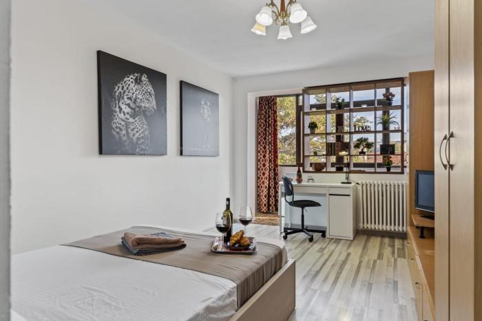 Cozy Studio close to Piata Romana