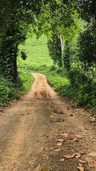 Vasudha Eco Homestay