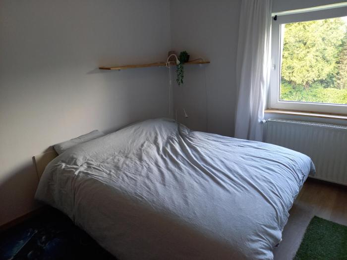 Chambre 1 lit double - Spa