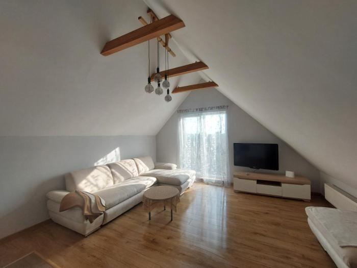 Fryko apartamentai Kaune