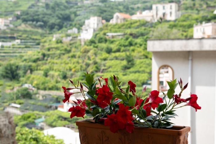 Casa Nonna Angela- Relax & Parcheggio Privato