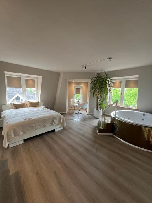 Luxury Private Spa with golden bath, cinema and sauna