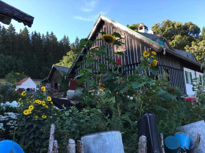 Roubenka na Šumavě