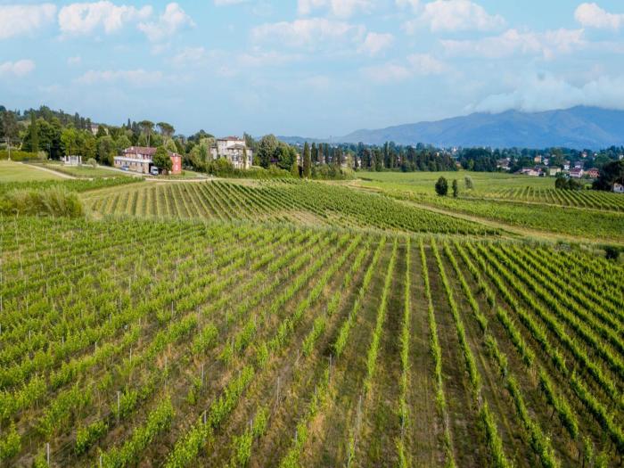 Apartment in Lucca with Winery and Pool