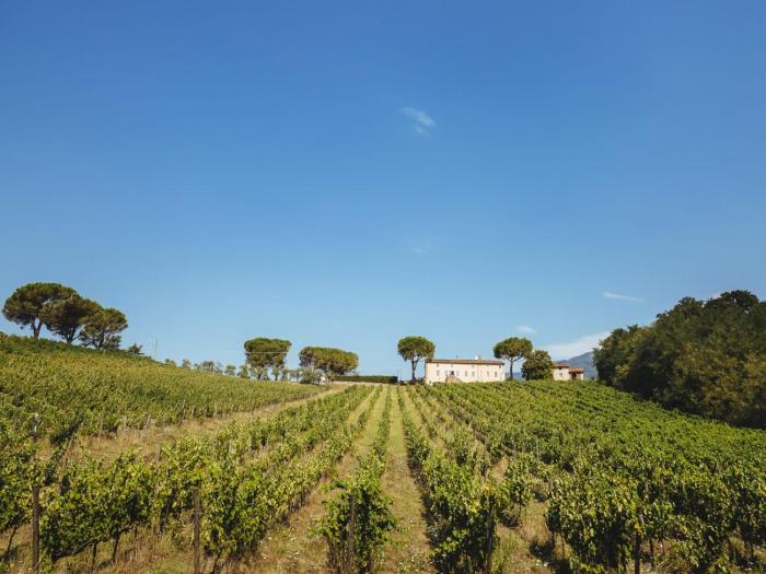 Farmhouse in Tuscany near Baroque Villa