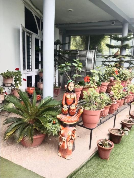 Shivanya Hills homestay cafe and restaurant