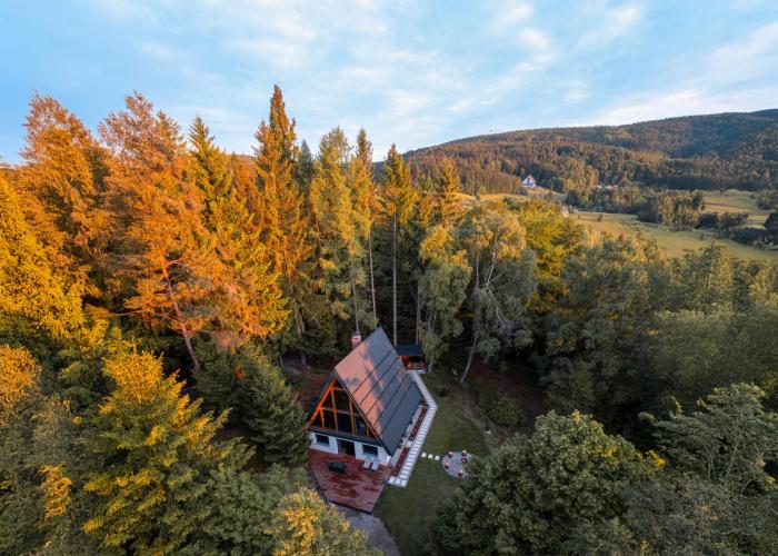 Pohorska Gozdna Vila