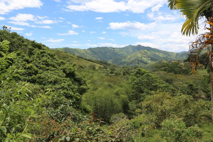 FINCA SAN JAVIER GREAT FARM WITH HORSES AND POOl