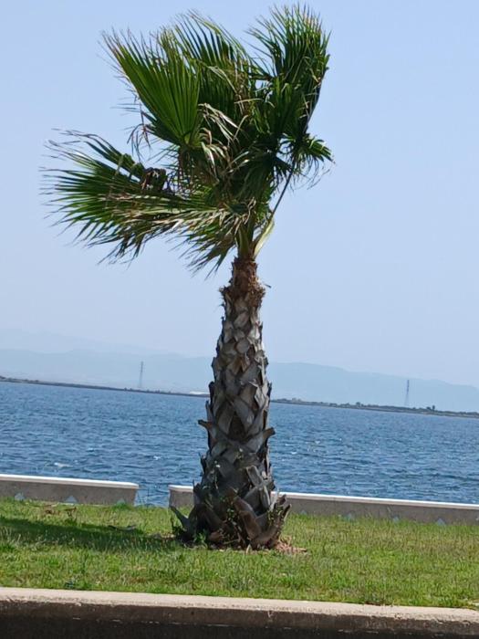 Casa Cristoforo Colombo