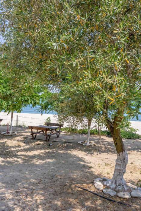 Sarakina Caravans by the sea