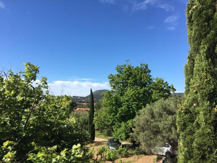 Appartement avec 3 chambres au milieu des vignes