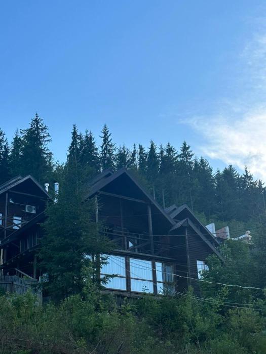 Chalet Shepit Karpat