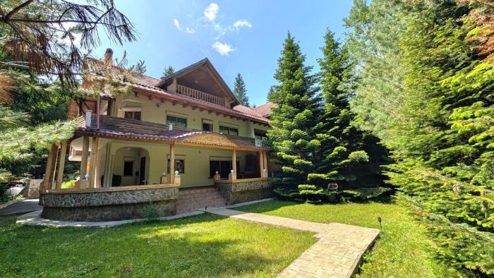 Cabana de la rau Satic