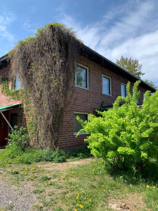 Omakotitalo veistämöllä meren rannassa