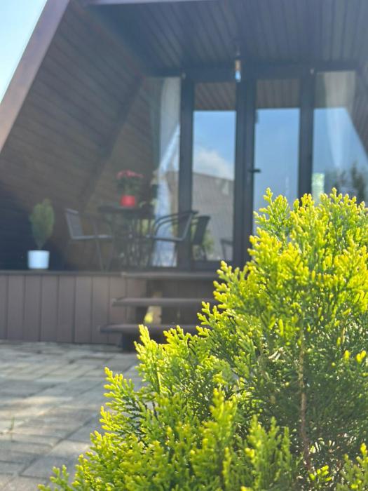 Magical space Tsikhisdziri