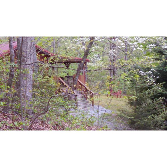 Cabin in the Woods-Peaceful 1BR 20-Acre Rural Retreat-HotTub&WiFi near Asheville