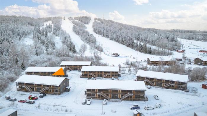 Full apartment with sauna, Kungsberget