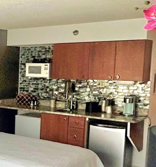 Elegant Double Queen Studio wpool & kitchenette