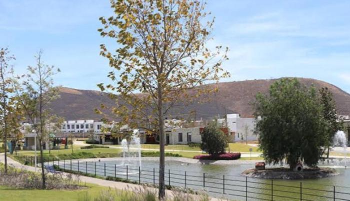 Todo lo que necesitas Adamar!