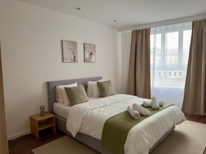 Modern Apartment St Gallen Zentrum