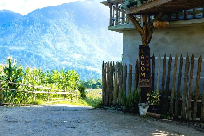 Lagom Home - Bamboo Forest