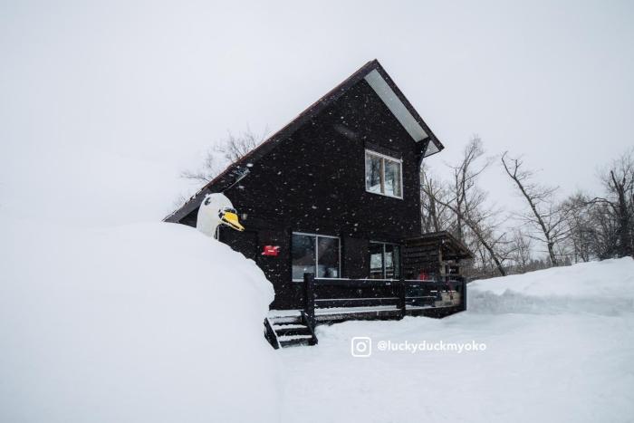Lucky Duck Cabin Myoko