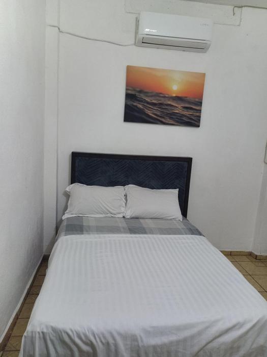 Barato y cómodo excelete ubicación Delfines