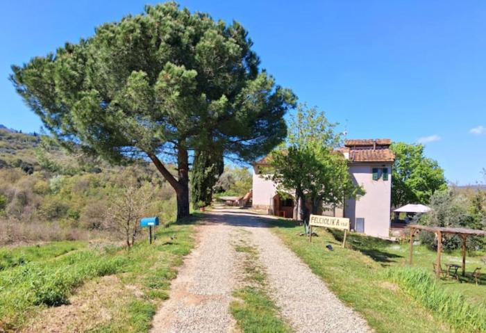 Felciolina - Medieval Country House