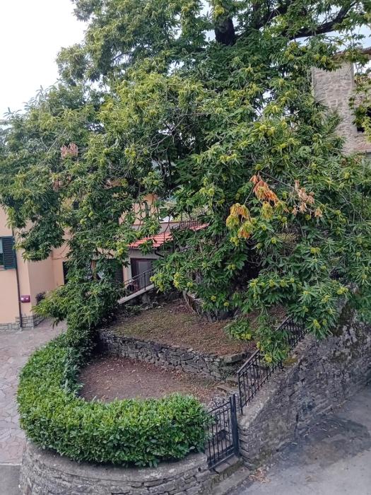 Il Pianello di Badia Prataglia