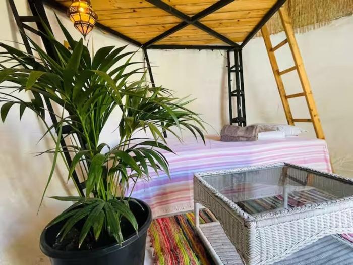 Casa Caracol - Finca Oaxaca