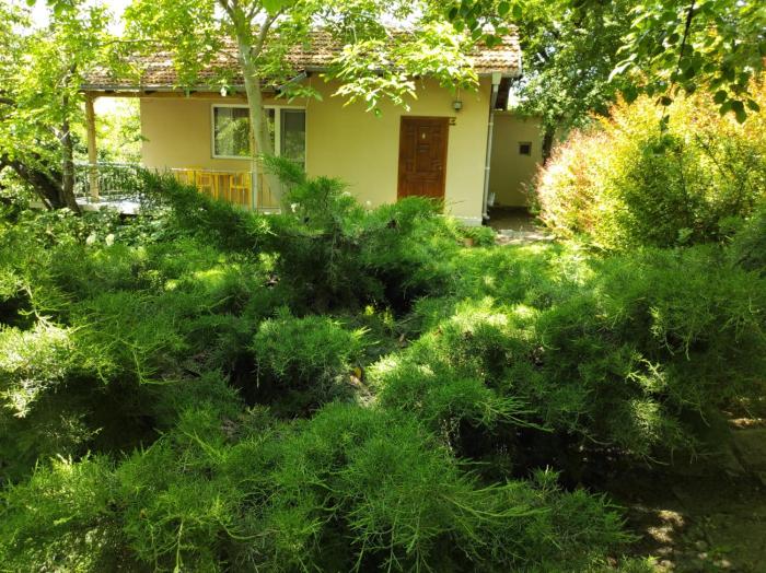 A charming and peaceful summer villa 400m from the sea