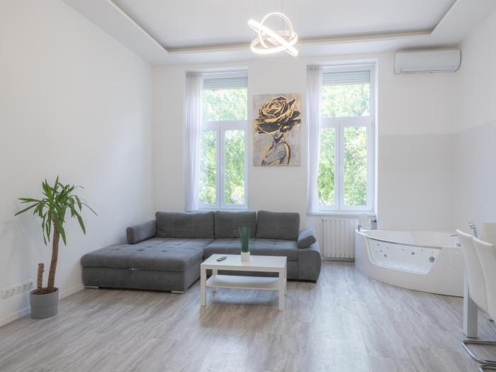 Luxury apartment in the central