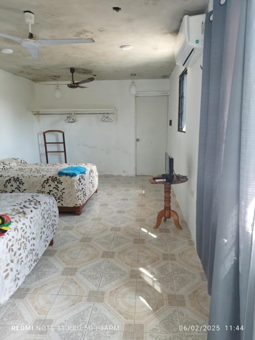 Casa 203