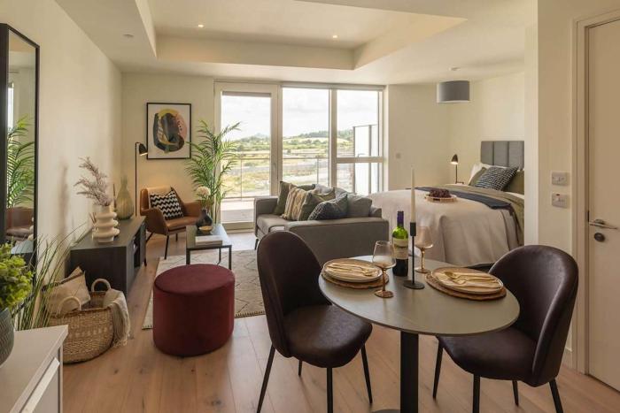 Large Luxurious Studio, Dublin18