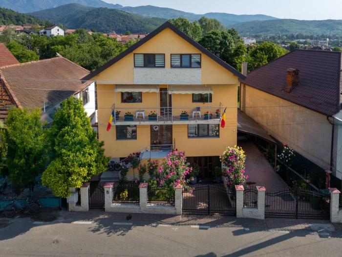 Vila Alina Calimanesti