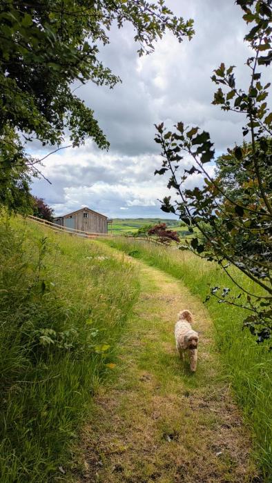 The Fold - Unique Cabin Nestled in Nature