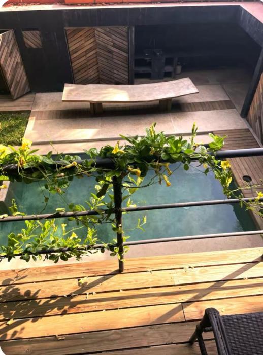 Suites Puerto Escondido KINEKI