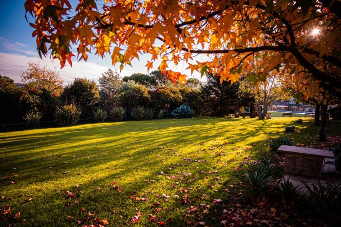 Amanecer en las Piedras