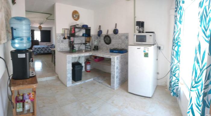 Depto CENTRO Parque Juarez