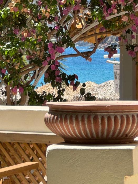 Corali Luxury Beach Apartment